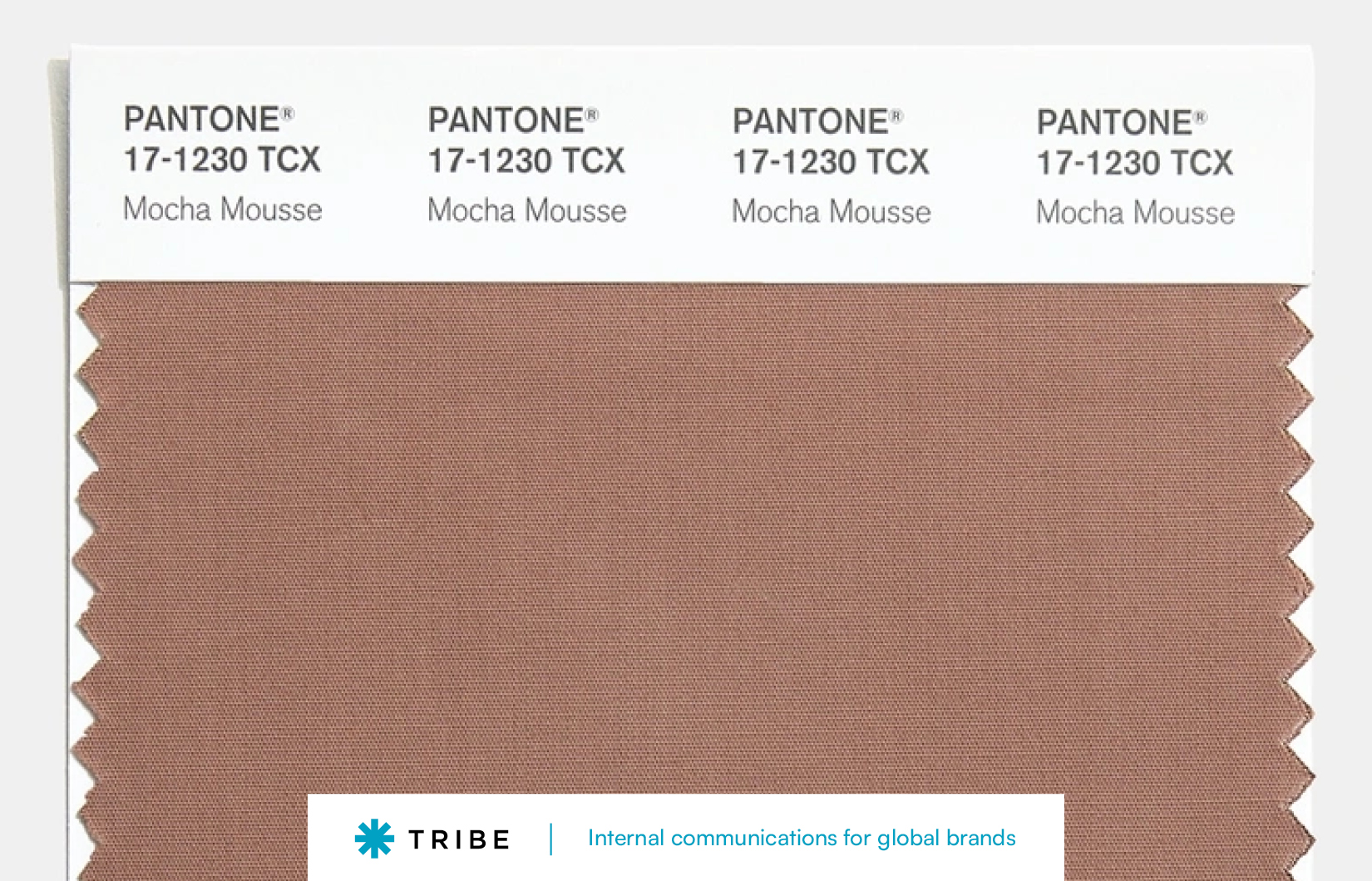 Blog - Tribe's Color(s) of the Year